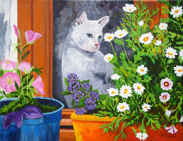 Curious Kitty <br> 14X18
