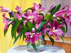 Web Site - 062 - Heidelberg Lillies.jpg