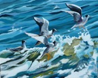 Web Site - 042 - Seagulls over Wave.jpg