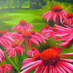 Web Site - 017 - Pink Flowers.jpg