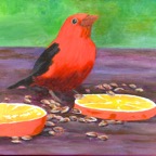 Web SIte - 038 - Red Bird.jpg